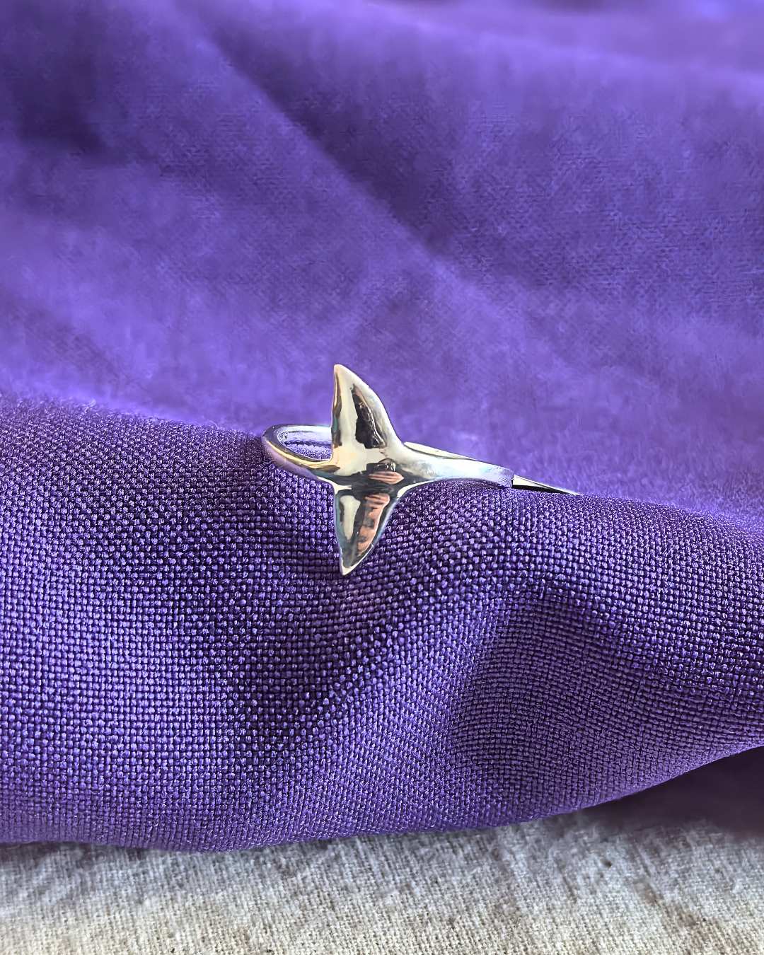 anillo-ballena