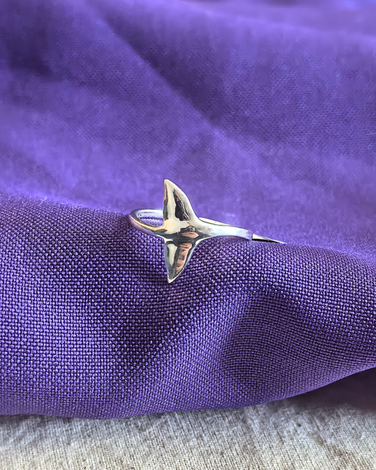anillo-ballena